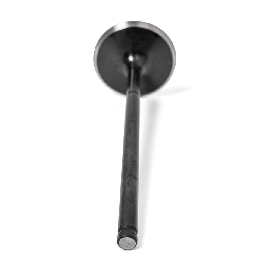 High Compression 36mm Intake Valves - Honda S2000 F20C/F22C - BLOWOUT - BLOX Racing