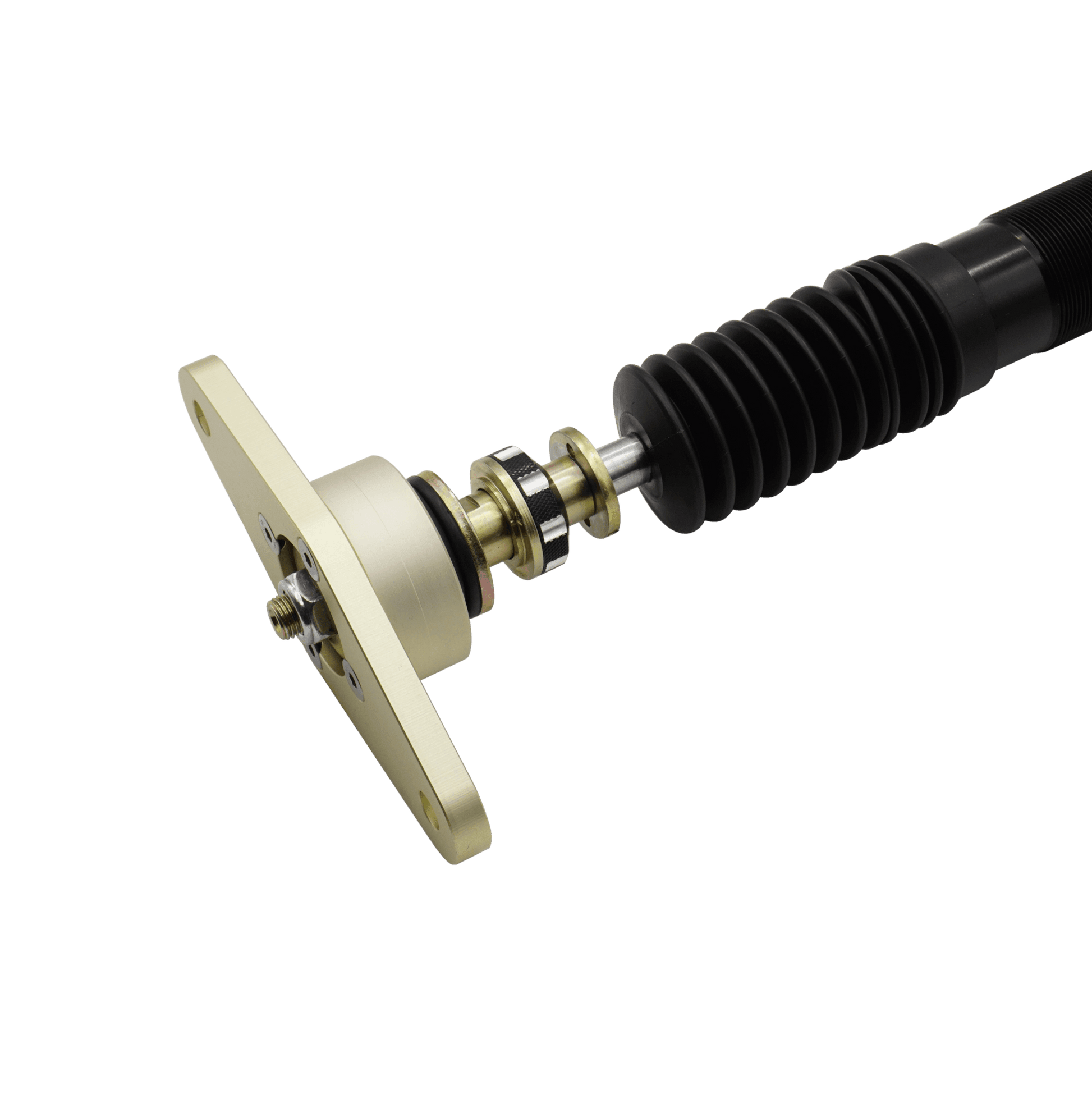 Plus Series Pro Coilovers - 20+ Model Y - BLOX Racing